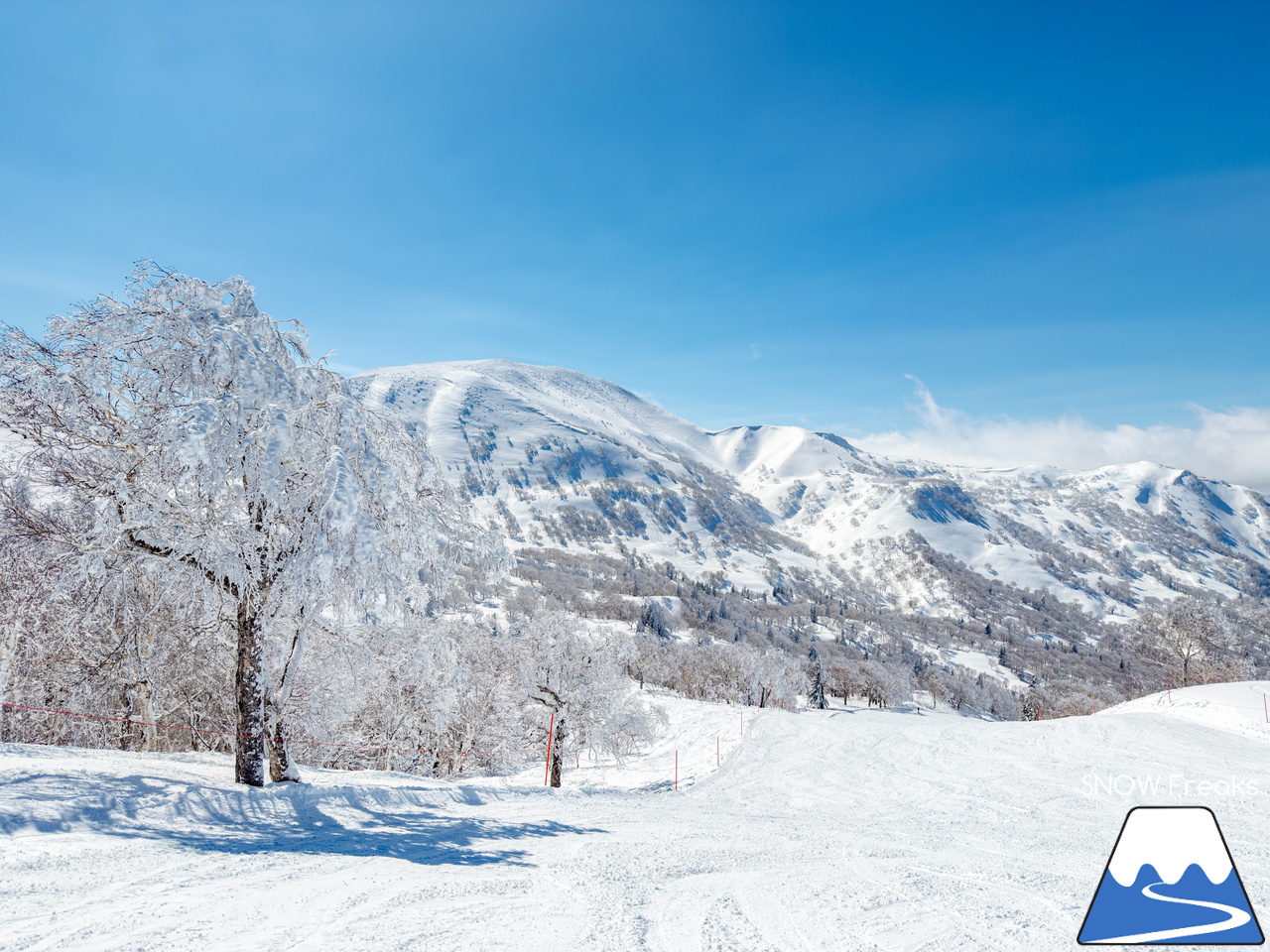 キロロリゾート｜久しぶりの『大当たり』！真冬のような景色とパウダースノーが帰ってきました(^^)v